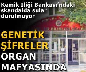 Genetik Şifreler Organ Mafyasında