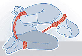 'Domuz bağı' çetesinin sorgusu sürüyor