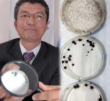 "Keneleri ciddiye alın"