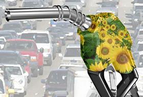 Mısır koçanından biodizel üretildi