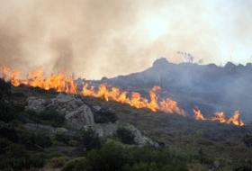Yunanistan'da yangın paniği büyüyor