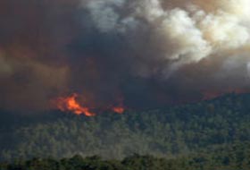 Yangında savaştan kalma mermiler patladı