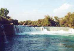 İsrail Manavgat suyunun peşinde