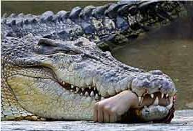 ABD'de bu resim gerçek oldu