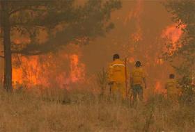 Yangın söndürücü keçiler!