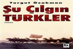 BİR LAHİKA PROJESİ: ÇILGIN TÜRKLER