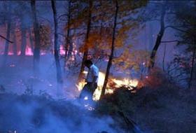 İstanbul'da Orman Yangını