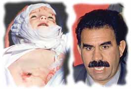 Türköne'ye Tarihçiden Cevap