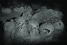 Asitle 300 ceset yok edilmiş