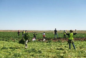 Siyonist askerlerden kurşun yağmuru (VİDEO)