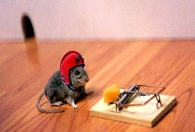 CHP'li belediyeye şok baskın