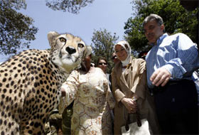 Gül'ün Afrika çıkarmasının ayrıntıları
