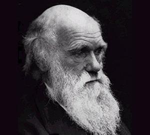 Karar Yazarı Evrim Teorisinin Müfredattan Çıkarılmasını Eleştirdi