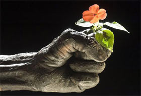 Husi Hareketi'nden Türkiye'ye Teşekkür