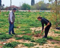 Çalıntı telefon kullanana ağaç dikme cezası