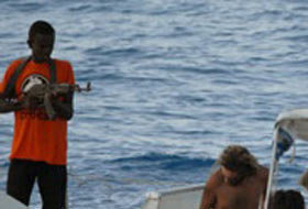 Korsanlar Amerikan gemisine doymuyor