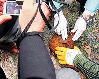 Bir Oğul'un Zor Anları