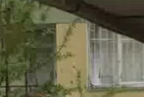 NTV kameramanı böyle vuruldu (VİDEO)