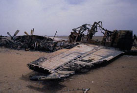 ABD askerlerinin kum fırtınası ile yokoluşu (FOTO-VİDEO)