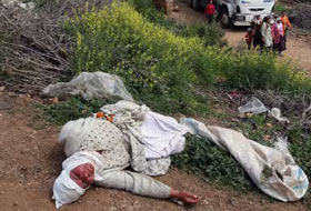 'Bir tavuk bile sağ bırakmayın'