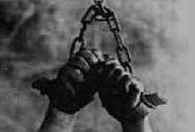 İşkenceyi savunan profesöre karşı eylem