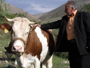 TSK inekleri bile fişlemiş