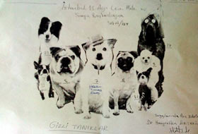 Ergenekoncudan gizli tanıklara hakaret