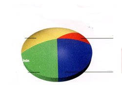 ABD Halkına İran'a Savaş Anketi