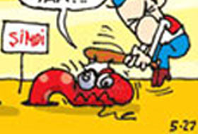 '50 yıllık mesele'nin sonu (KARİKATÜR)