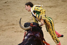 Boğanın intikamı (FOTO)