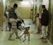 İşkenceci asker, Irak polisini eğitecek