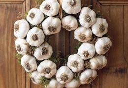 Diş Ağrısı Çekmeyin