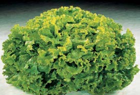 Uykusuzluğun bir numaralı ilacı