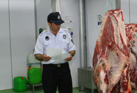 PKK'nın kaçak et tezgahı çöktü!