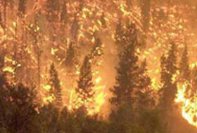 Siyonistlerin Yangın Acziyeti