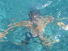 -"Adam boğuluyor" -"Lütfen faks çekiniz"