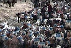 Kaçak akaryakıt filosu yakalandı