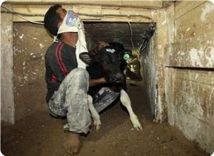 İsrail'den Yeni Tünel İddiası