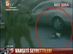 Filistinli Genci Ezen Siyonist Köpek(VİDEO)