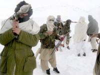 "Taliban, İşgal Güçleri Çıkmadan Karzai'yle Görüşmeyecek"