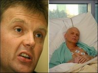 Litvinenko'nun eşi soruşturma istiyor