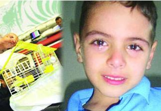 İsrail askerleri o kanaryayı bile vurdu