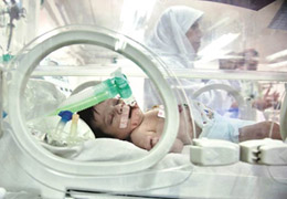 Filistinli Mavi Bebek Türkiye'ye Geliyor