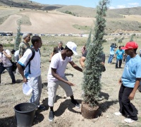 Mavi Marmara Koruluğu(FOTO)