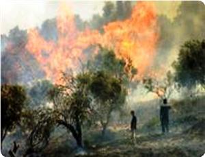 Böyle Şerefsizlik Görmediniz