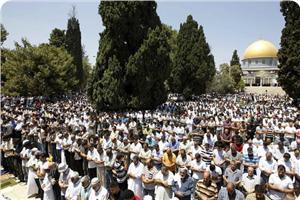 Engellemelere Rağmen...