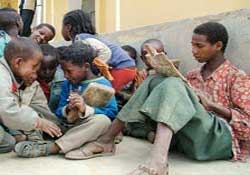 800 milyon insan kötü besleniyor