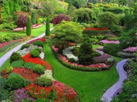 Bunları son kez görüyor olabilirsiniz!