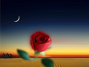 "Gül Düşünür Gülistan Olursun"...(VİDEO)