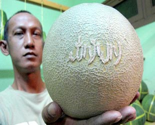 Üzerinde kelime-i tevhid yazısı olan kavun şaşırtıyor